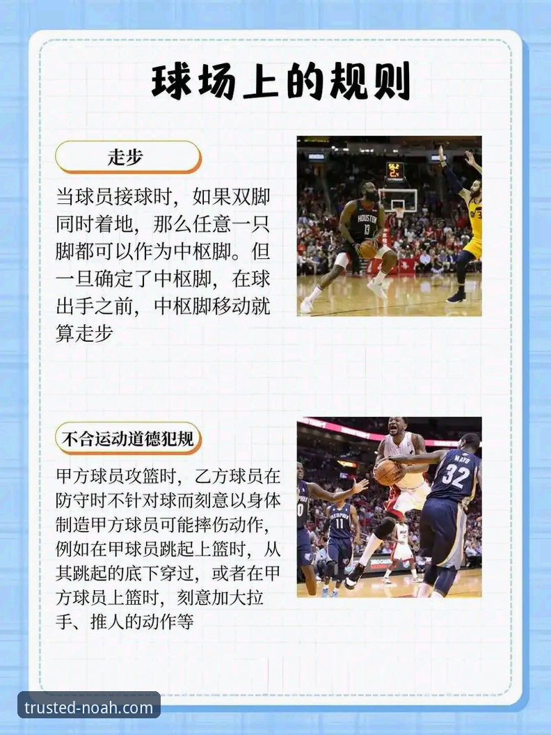 诺亚体育官网下载功能详解：从版本迭代到体验升级的全面解析